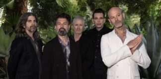 Shudder To Suppose Embarking On Fall Reunion Excursion