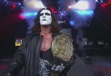 The Ring Is Scripted however the Love Is Actual