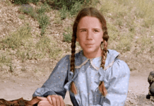 Little Space at the Prairie: The Entire Collection Blu-ray Evaluate: Large 45-Disc Set