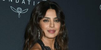 Priyanka Chopra Displays On Why Her Track Occupation Didn’t Final