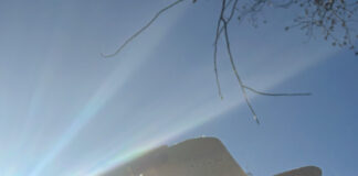 Justin Vernon Main points His Bob Dylan Quilt Band