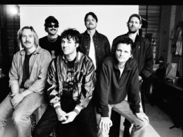 King Gizzard & The Lizard Wizard Wraps Synth LP