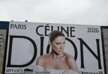 Céline Dion's live shows set to present Paris multimillion-euro spice up