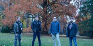 Why Libricide’s Kismet Feels Just like the Roughly To find Other people Gatekeep