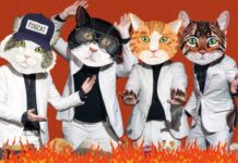 Undertake Unbelievable Cat – SPIN