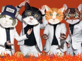 Undertake Unbelievable Cat – SPIN