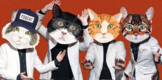 Undertake Unbelievable Cat – SPIN