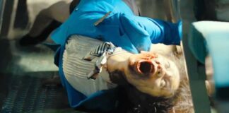 Iconic Zombie Film Returns to Theaters Quickly, Director’s New Horror Movie Will get Teaser Trailer