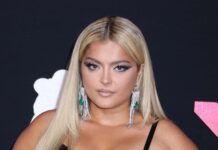Bebe Rexha Fires Again After AMAs Frame Disgrace