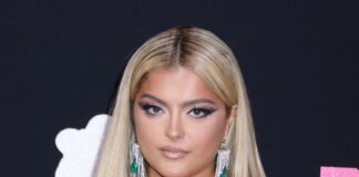 Bebe Rexha Fires Again After AMAs Frame Disgrace