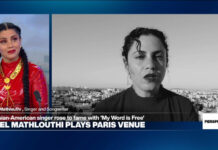 'The Arab Spring used to be one thing from the folk for the folk': Singer Emel Mathlouthi