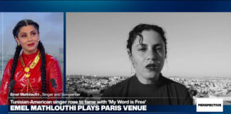 'The Arab Spring used to be one thing from the folk for the folk': Singer Emel Mathlouthi