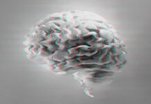 We Want New Phrases for the Studies We Didn’t Have Ahead of AI