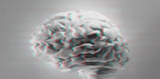 We Want New Phrases for the Studies We Didn’t Have Ahead of AI