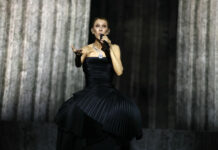 Céline Dion makes ancient Paris comeback, six years after final excursion