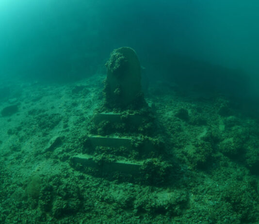 Interpreting the Trump Stone: Long term Archaeologists After all Translate Previous Earth’s Historic Texts