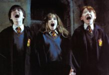 The Accumulating Harry Potter Crossover Leaves Avid gamers Significantly Cut up