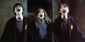 The Accumulating Harry Potter Crossover Leaves Avid gamers Significantly Cut up