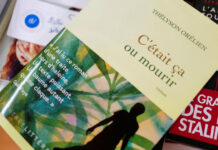 Will AI write our books? Row over bestseller fuels concern over long term of literature