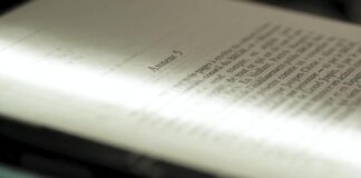How books are being scanned and destroyed to coach synthetic intelligence