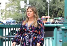 Fanatics Clamor for Kelly Clarkson After ‘Indignant Birds 3’ Poster Drops