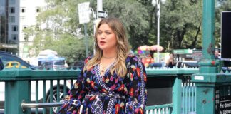 Fanatics Clamor for Kelly Clarkson After ‘Indignant Birds 3’ Poster Drops