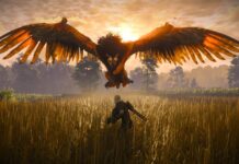 The Witcher Books Nonetheless Have One Massive Geralt Tale The Video games & Netflix Cannot Inform